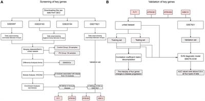 The application of weighted gene co-expression network analysis and support vector machine learning in the screening of Parkinson’s disease biomarkers and construction of diagnostic models